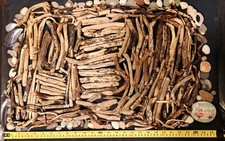  DRIFTWOOD PIECES.     Arts &