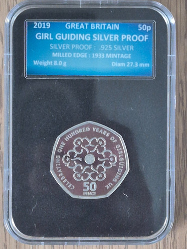 2019 girl guides - girl,