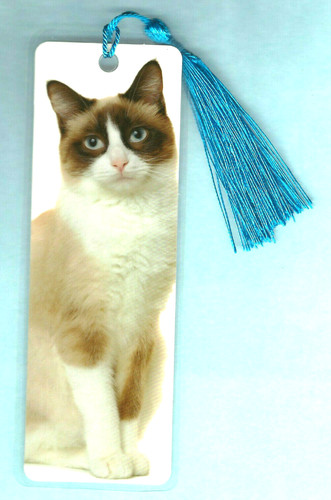 Ragdoll cat bookmark tonkinese - cat,