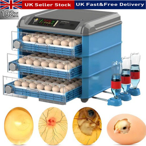 192x egg incubator temperature - egg,