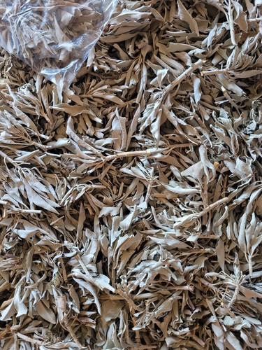 Loose white sage - loose, sage,