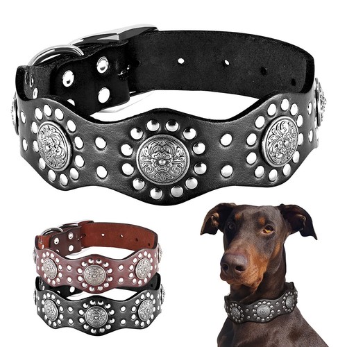 Luxury genuine leather - leather, dog