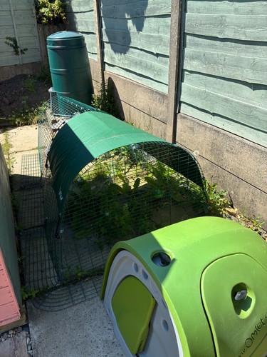 Used omlet eglu - omlet,