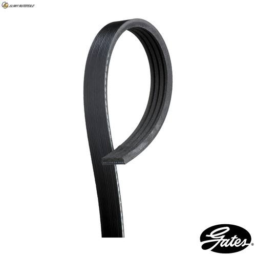 Ribbed belt 4pk545 for fiat - belt,