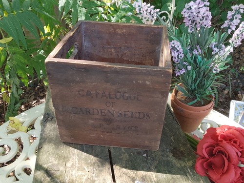 Old wooden garden seed box - garden,