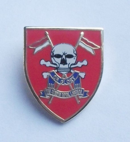 Queens royal lancers lapel - queens,