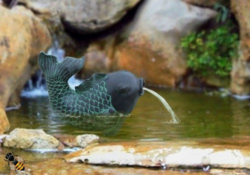 Pond spitter fish water - spitter,