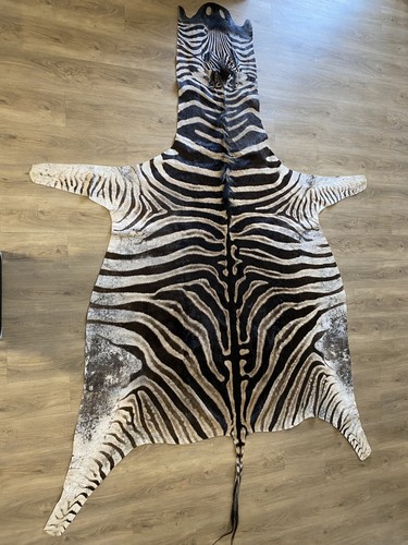 Zebra real skin - real, large