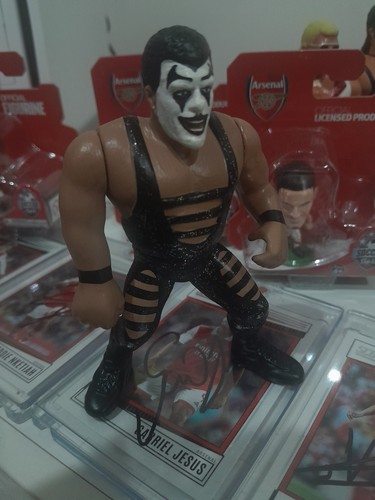 Wwe wwf hasbro - wwf, custom