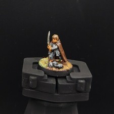 Pro Painted Warhammer Lotr