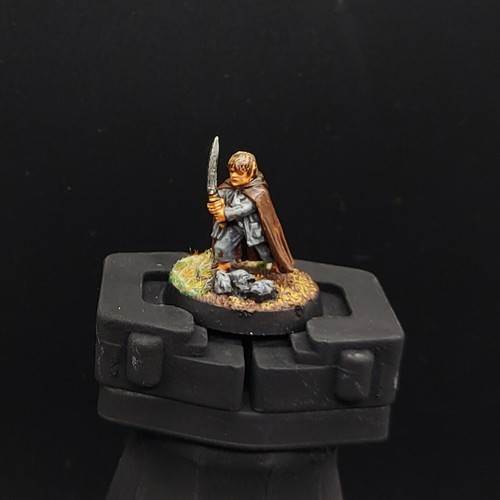 Pro painted warhammer lotr - warhammer,