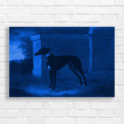 Elegant greyhound blue canvas - blue,