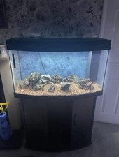 180l Juwel Fish Tank