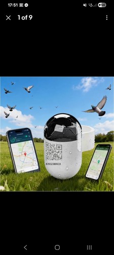 Live real time gps - live,