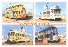 Blackpool Trams Postcard -