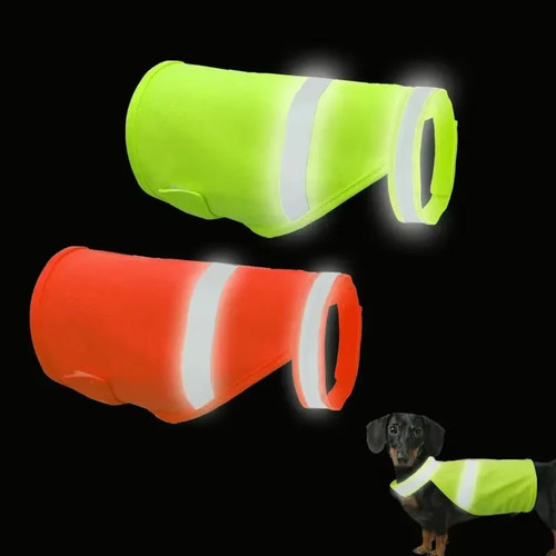 Reflective dog safety - dog, vest