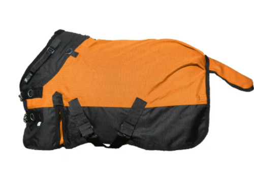 Orange black horse - &,