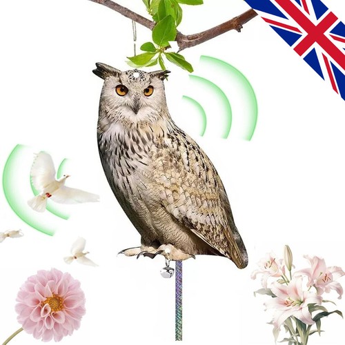Realistic owl decoy deterrent - realistic,