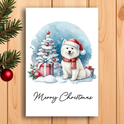 Samoyed christmas card - samoyed,