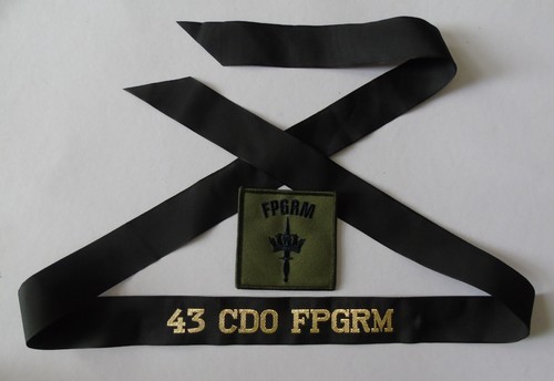 Royal navy commando fleet - navy,