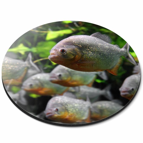 Round mouse mat aquarium - -,