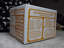 Mushroom Growing Kit - Pink