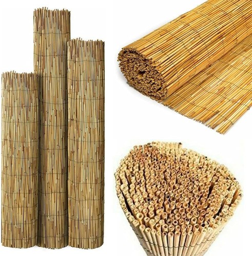 Natural reed fencing screening - reed,