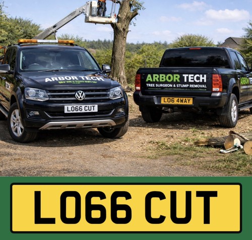 Private number plate - , tree