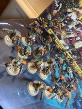Warhammer 40K Orks x28 Beast