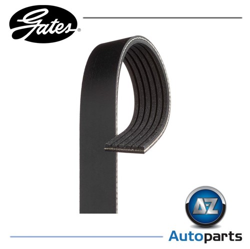 Rib ribbed belt 6pk870 - rib,