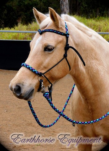 Earthhorse equipment bitless - equipment,