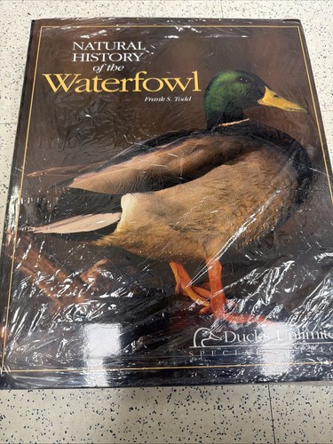Ducks unlimited special - ducks,