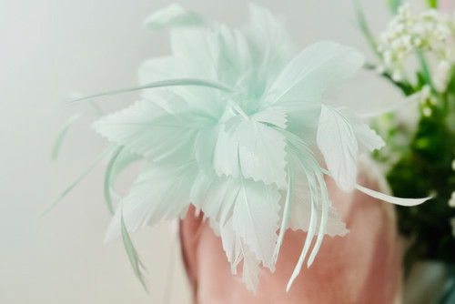 Elegant flower feather - flower,