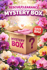 BIG BOX Rescue/Clearance