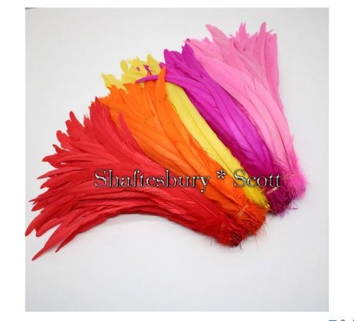 Long rooster feathers - long,