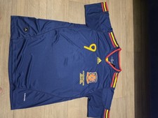 Spain 2010 World Cup Final