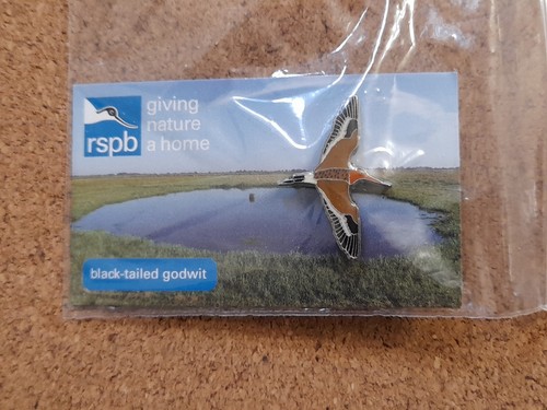 Rspb black tailed - rspb, godwit