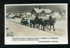 HELMSLEY Yorks Horse  Snow