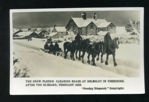 Helmsley yorks horse - , snow