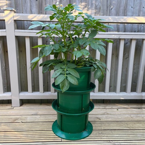 Platform potato growing pot - potato,