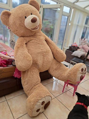 Giant teddy bear - teddy,