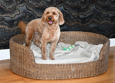 Large oval wicker dog bed