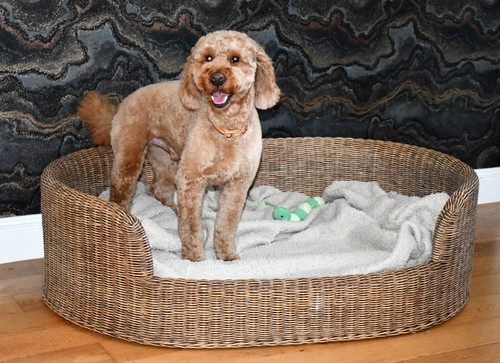 Large oval wicker - , bed
