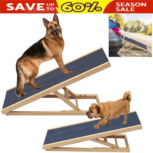 Dog pet puppy - pet, ramp