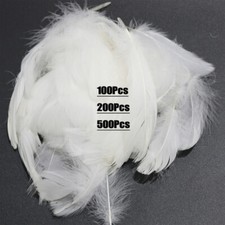 500pcs White Small Fluffy Swan