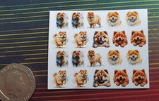 Cute, Pretty, Chow Chow, Dog, Nail Art Water Decals