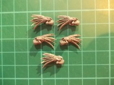 Warhammer 40K - 5 Kroot skulls