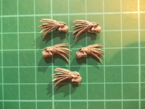 Warhammer 40k kroot skulls - 40k,