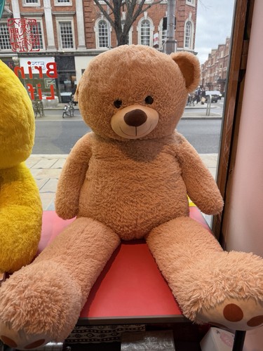 Large brown teddy - large, bear