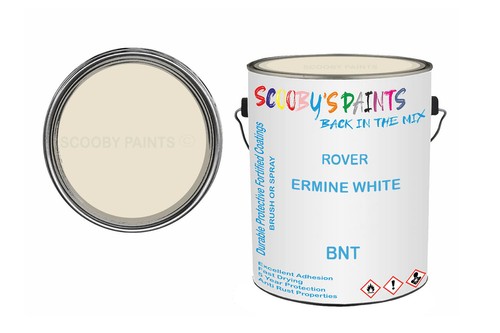 Classic paint for austin - for,